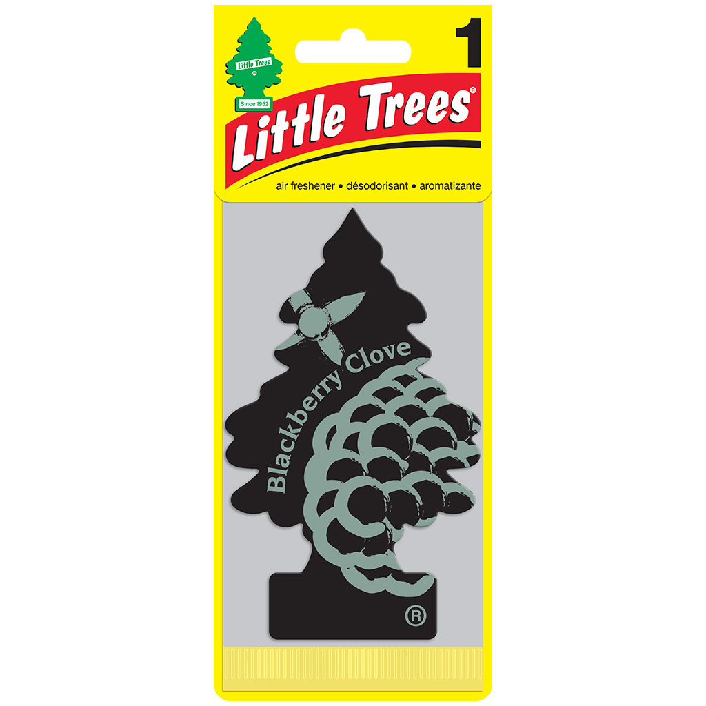 Little Tree Air Freshener  - Blackberry Clove CASE PACK 24