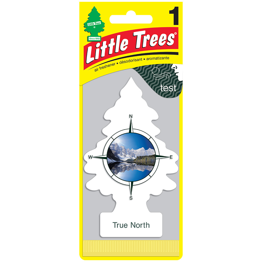 Little Tree Air Freshener  - True North CASE PACK 24