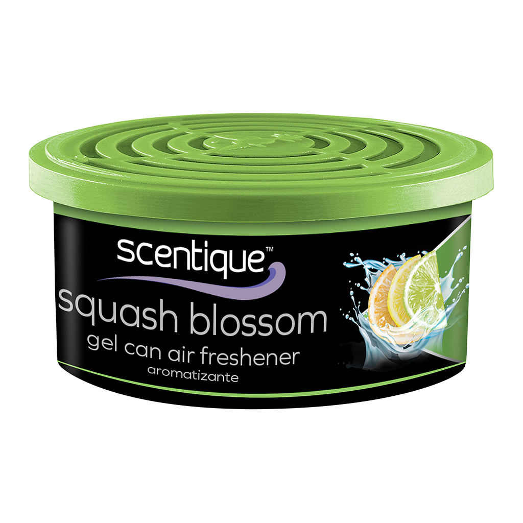 Scentique Natural Gel Can Air Freshener - Squash CASE PACK 12