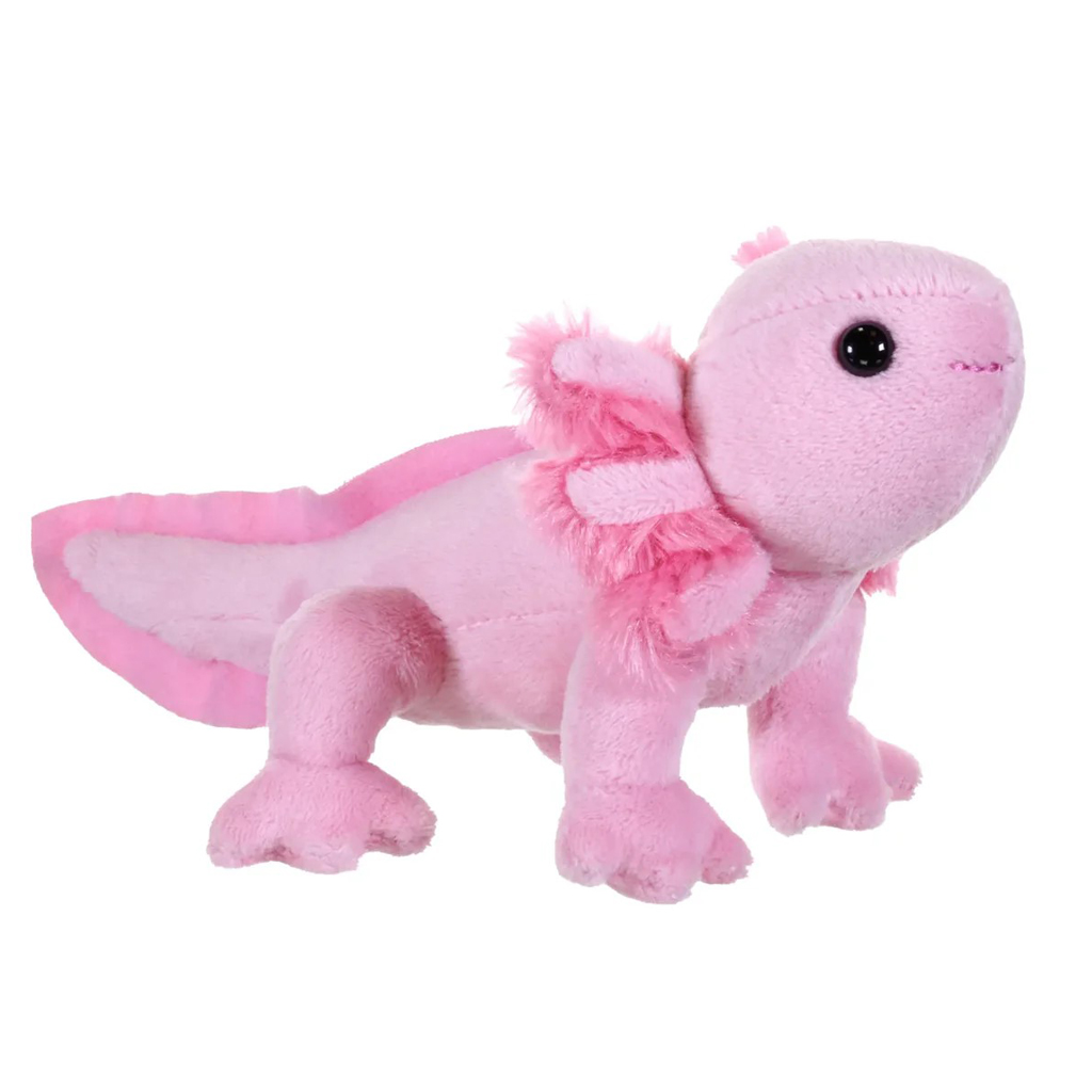 Pocketkins - Axolotl CASE PACK 8