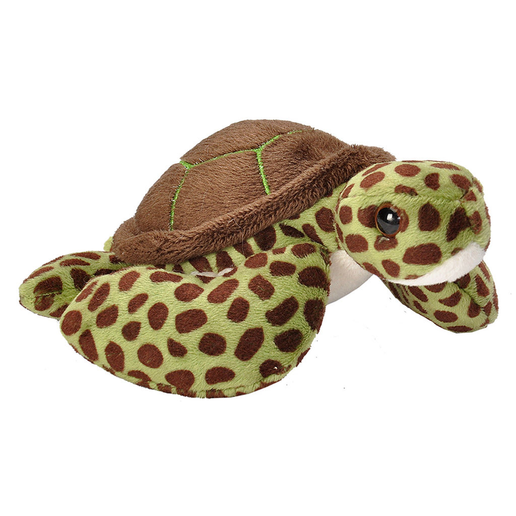 Pocketkins - Sea Turtle CASE PACK 8