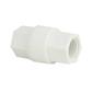 SMC Polypropylene Check Valve 1/2 Inch Female Pipe Thread to 1/2 Inch Female Pipe Thread